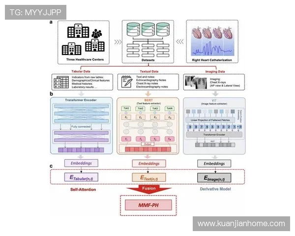 杭州攀岩队节奏表现数据分析揭示训练与比赛的关键因素