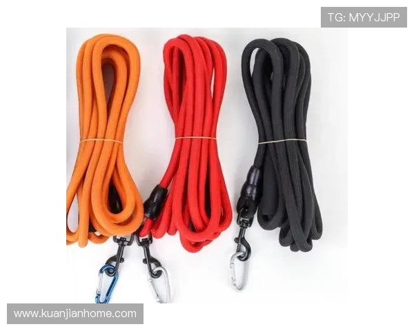 滑板战术解析:深圳滑板队如何构建高效反击体系与战术协同 滑板战术解析:深圳滑板队如何构建高效反击体系与战术协同